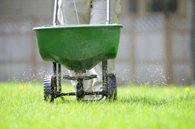 The Best Time To Fertilize Your Lawn, According To An Expert - southernliving.com - state Kentucky