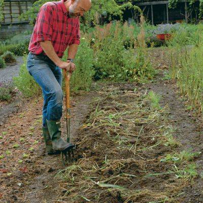 Learn to Build Better Soil - finegardening.com
