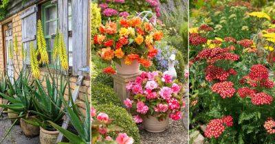 25 Flowers That Represent Strength - balconygardenweb.com - South Africa - Greece