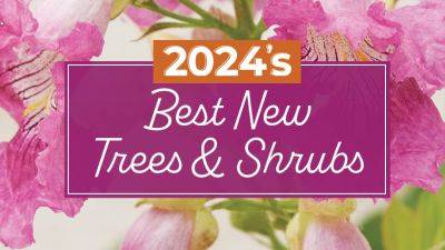 2024's Best New Garden Plants: Shrubs and Trees - gardengatemagazine.com