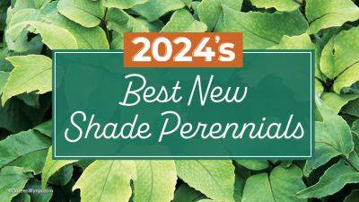 2024's Best New Garden Plants: Perennials for Shade - gardengatemagazine.com