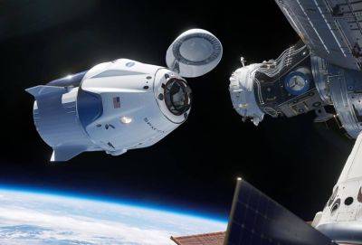 Plants Flying on the Axiom 3 Private Space Mission - theunconventionalgardener.com - Turkey - Sweden