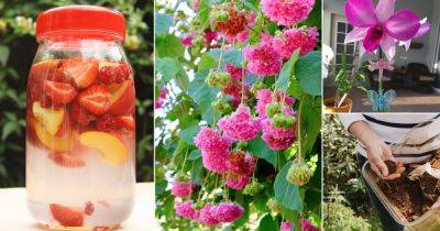 17 DIY Bloom Boosting Fertilizer Recipes - balconygardenweb.com