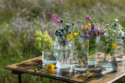 7 Ways to Repurpose Empty Glass Jars, According to Pros - thespruce.com