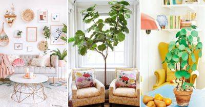26 Fantastic Ways to Decorate with Indoor Plants to Energize Your Room - balconygardenweb.com