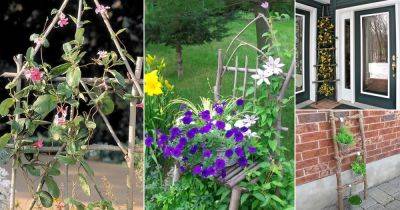 20 DIY For Making Garden Ladder and Trellis Using Tree Branches - balconygardenweb.com