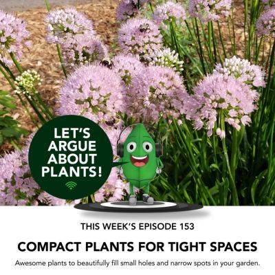 Episode 153: Compact Plants for Tight Spaces - finegardening.com - Britain - city Columbia