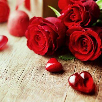 Captivating Valentines Day Gifts: Unveiling the Essence of Love - gardencentreguide.co.uk