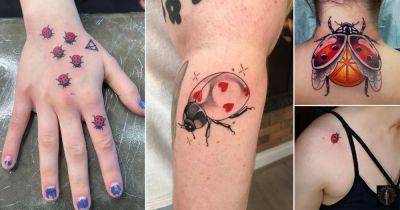 32 Ladybug Tattoo Ideas You Must Copy! - balconygardenweb.com