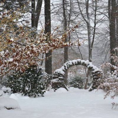 Snow in Carol’s Garden - finegardening.com - Japan - state Pennsylvania