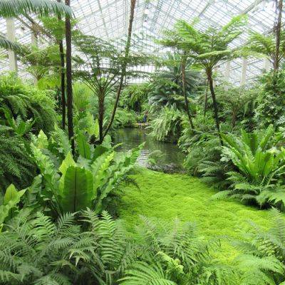 Have You Visited the Garfield Park Conservatory? - finegardening.com - Usa - state Wisconsin - county Park