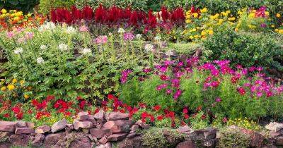 How to Collect Flower Seeds for Planting - gardenerspath.com