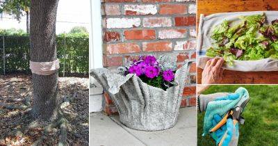 12 Cool Things to Do With Old Towels in the Garden - balconygardenweb.com - county Garden