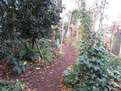 End of Month View: Oops!…I Did it Again - ramblinginthegarden.wordpress.com