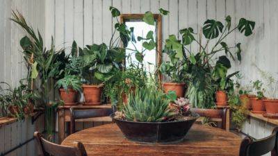 Monty Don on gardening without a garden | House & Garden - houseandgarden.co.uk