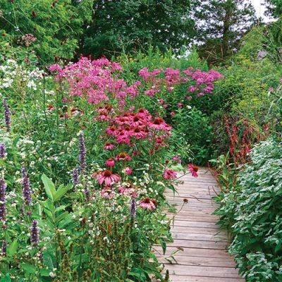 Tips for Installing and Caring for a Pollinator Garden - finegardening.com