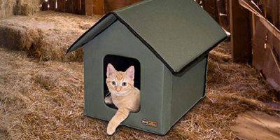 8 Best Outdoor Cat Houses of 2024, According to Pet Pros - goodhousekeeping.com - state Oregon