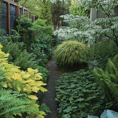 How to Design a Serene and Immersive Garden Oasis - finegardening.com