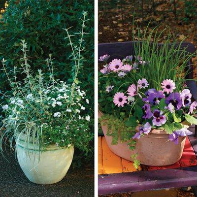 Welcome Spring with These Container Designs - finegardening.com