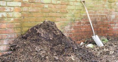 Your gardening questions answered: What’s the best peat-free seed compost for my garden? - irishtimes.com